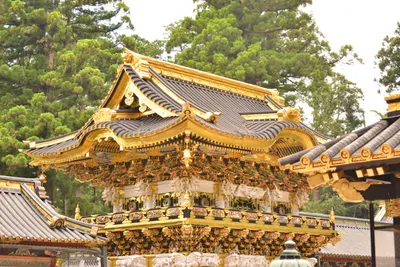 DSC_3879 (Large).JPG